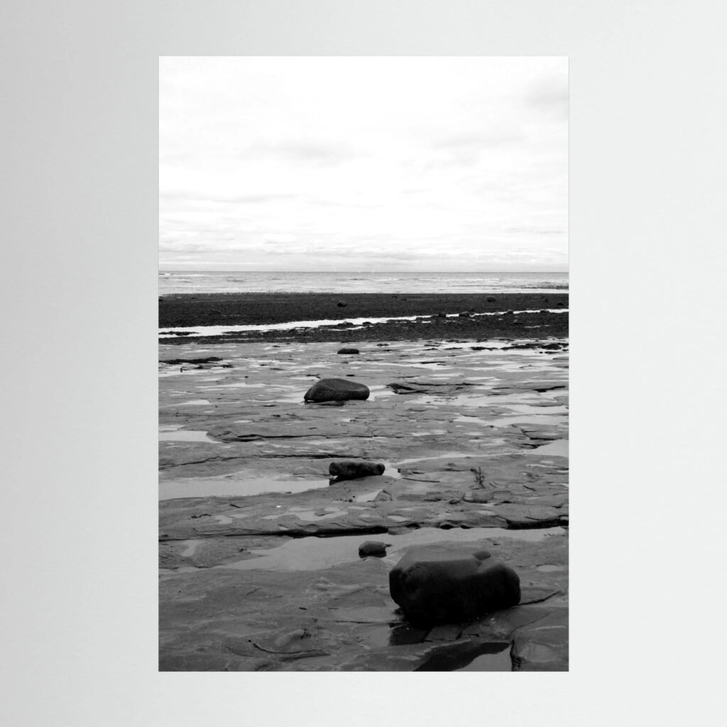 Le chemin qui va à la mer